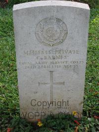 Dar Es Salaam War Cemetery - Barnes, Cirtees